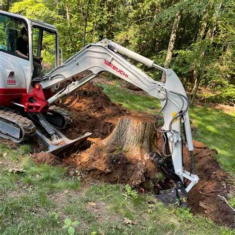 digging up stumps with mini excavator|pine tree stump removal.